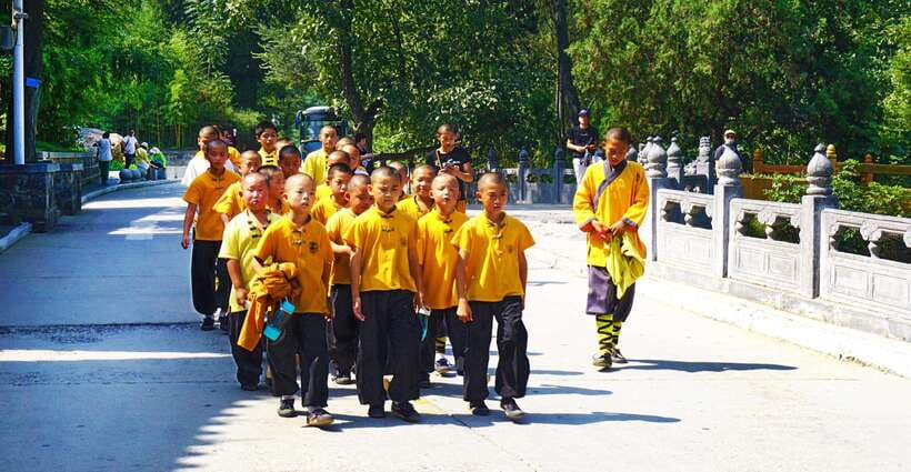 Private Tour: Longmen Grottoes, Shaolin Temple & Kungfu Show - Why this private day works so well