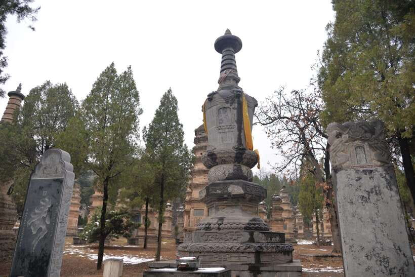 Private Tour: Longmen Grottoes, Shaolin Temple & Kungfu Show - How the guides shape the day