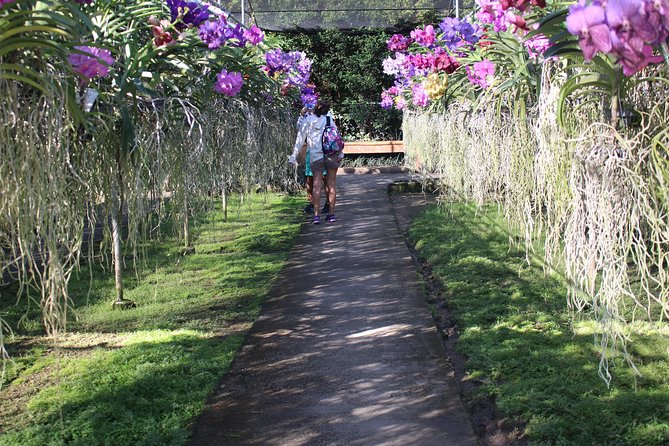 Private tour] Perfect day! Sticky waterfall + ChiangDao Cave + Wat BandenTemple - Who should book this private day