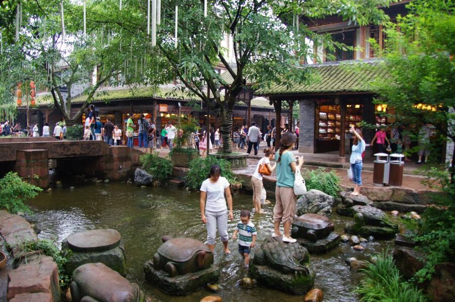 Private Tour to Leshan Giant Buddha & Huanglongxi Old Town - A local lunch and the value of choosing the right option