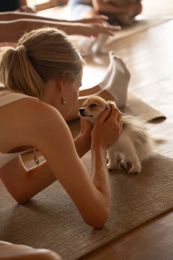 Puppy Yoga in Bali, Ubud & Uluwatu - Key Points at a Glance