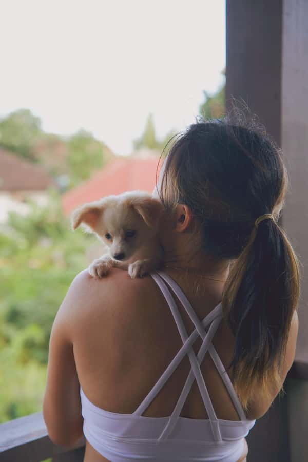 Puppy Yoga in Bali, Ubud & Uluwatu - What This One-Hour Experience Is Really Like