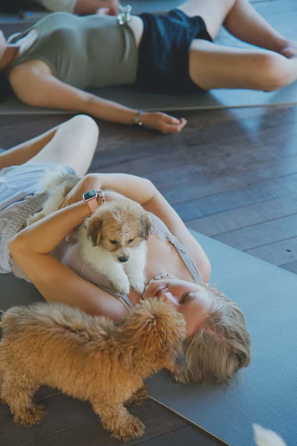 Puppy Yoga in Bali, Ubud & Uluwatu - The Puppies: Know What You Are Booking
