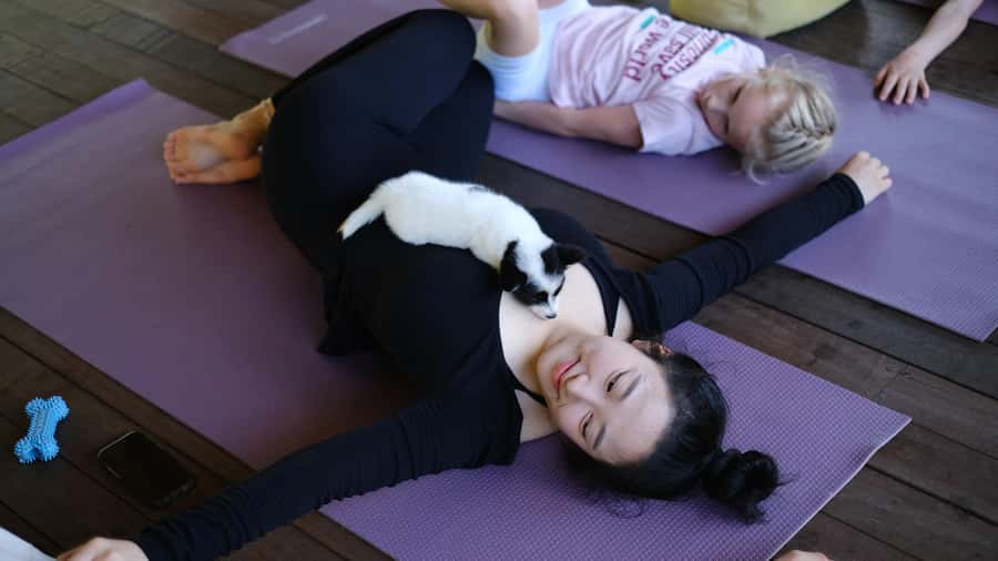 Puppy Yoga in Bali, Ubud & Uluwatu - My Take on the Puppy Yoga Experience