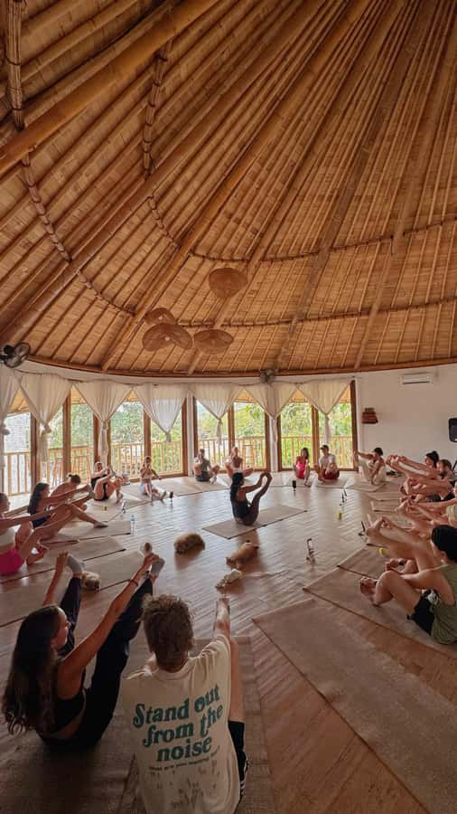 Puppy Yoga in Bali, Ubud & Uluwatu - Choosing Between Ubud and Uluwatu