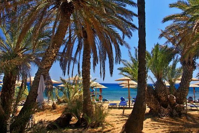 RIVIERA - Vai Palm Beach, Toplou Monastery - Key points to know before you book