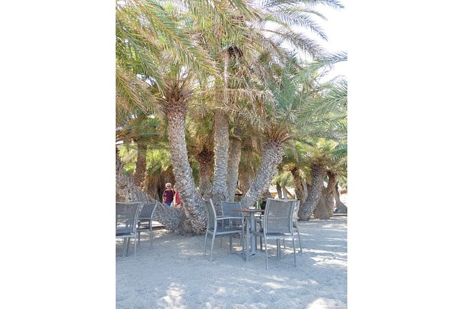 RIVIERA - Vai Palm Beach, Toplou Monastery - Included lunch with a Cretan feel