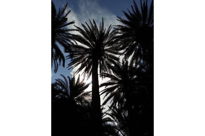 RIVIERA - Vai Palm Beach, Toplou Monastery - Platanos and the sunset return