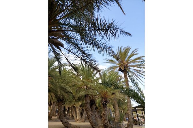 RIVIERA - Vai Palm Beach, Toplou Monastery - Guides, group size, and the pace of the day