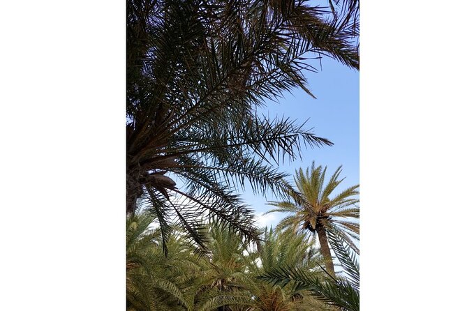 RIVIERA - Vai Palm Beach, Toplou Monastery - Price, cancellation, and who gets the most from it