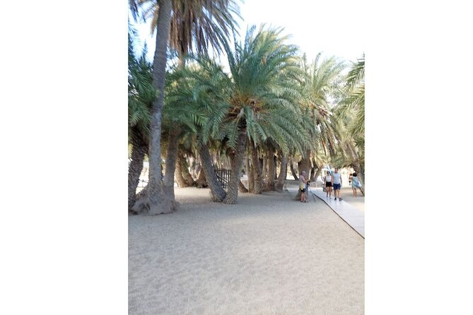 RIVIERA - Vai Palm Beach, Toplou Monastery - Should you book this Vai and Toplou tour?