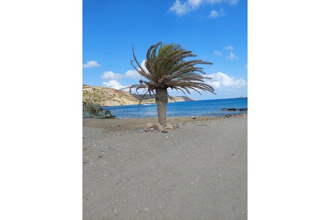 RIVIERA - Vai Palm Beach, Toplou Monastery - Vai Palm Forest and the beach beside it