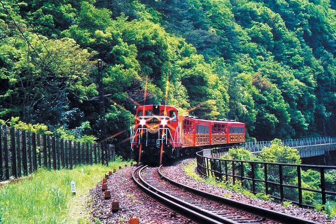 Sagano Romantic Train & Arashiyama, Kiyomizudera, Fushimi Inari Taisha Day Tour - Walking, crowds, and the fixed schedule