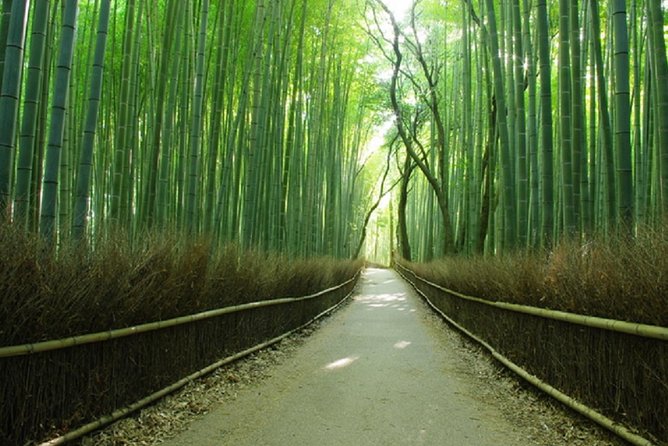 Sagano Romantic Train & Arashiyama, Kiyomizudera, Fushimi Inari Taisha Day Tour - Arashiyama’s bamboo and the Katsura River