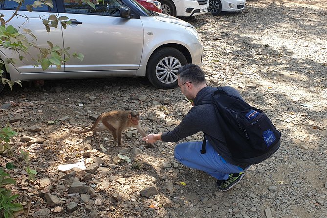 Sanjay Gandhi National Park(SGNP) + Kenheri Caves + Lion Safari + Jain Temple - A brief visit to Trimurti Jain Temple
