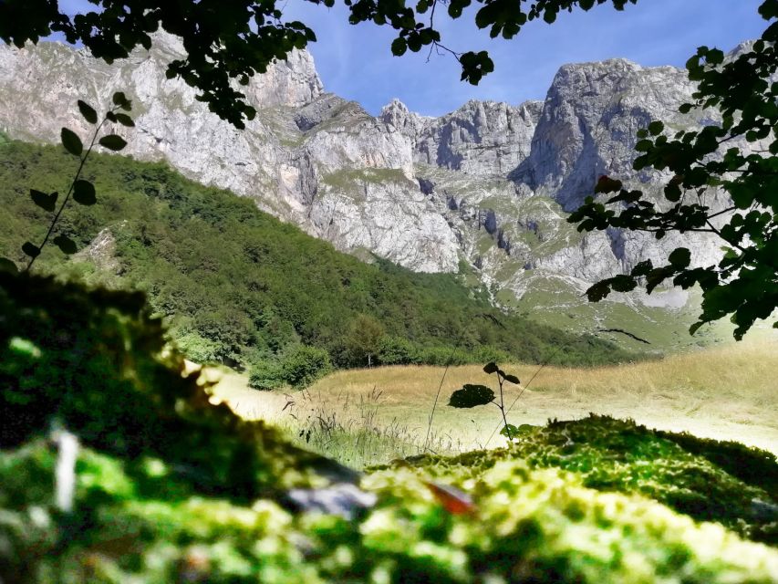 Santander: Picos, Santo Toribio Monastery and Potes Day Tour - Price, group size, and overall value