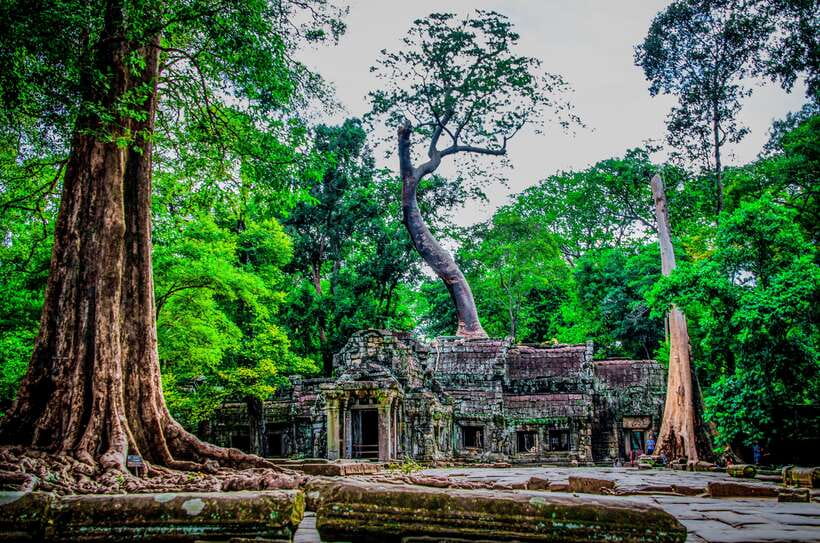 Seat-In-Coach: Small Circuit tour with Sunrise at Angkor Wat - Ta Prohm and the Tomb Raider effect