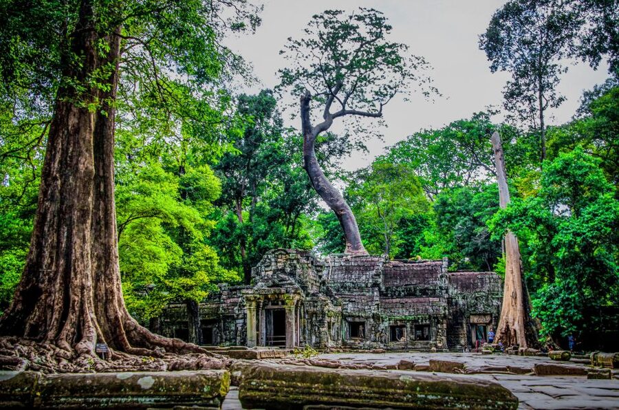 Seat-In-Coach: Small Circuit tour with Sunrise at Angkor Wat - Pace, food, and the heat