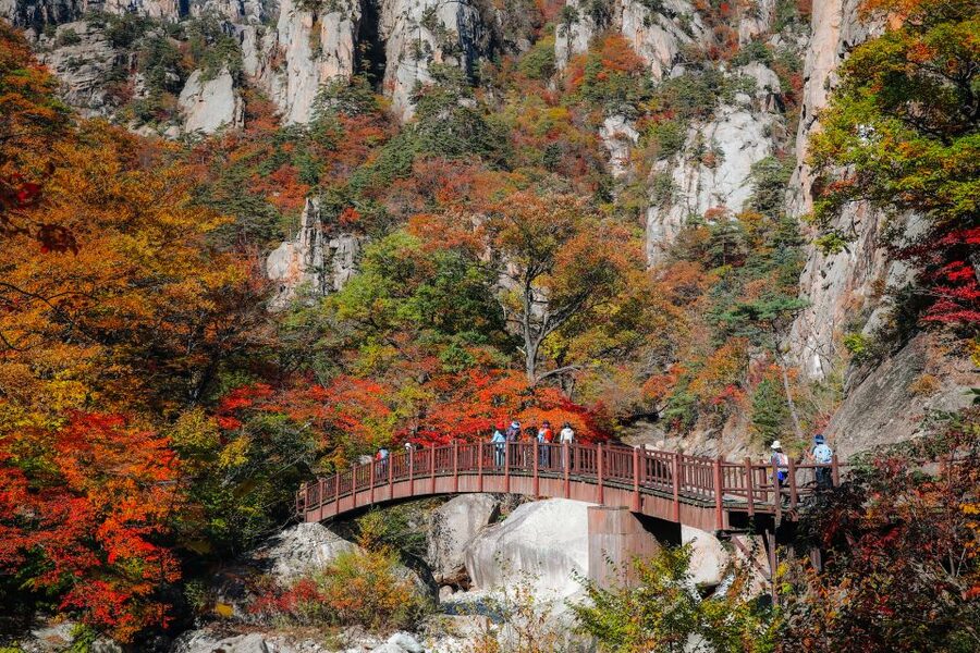Seoul: Mt Seorak + Naksansa Temple or Nami Island Group Tour - The day at a glance