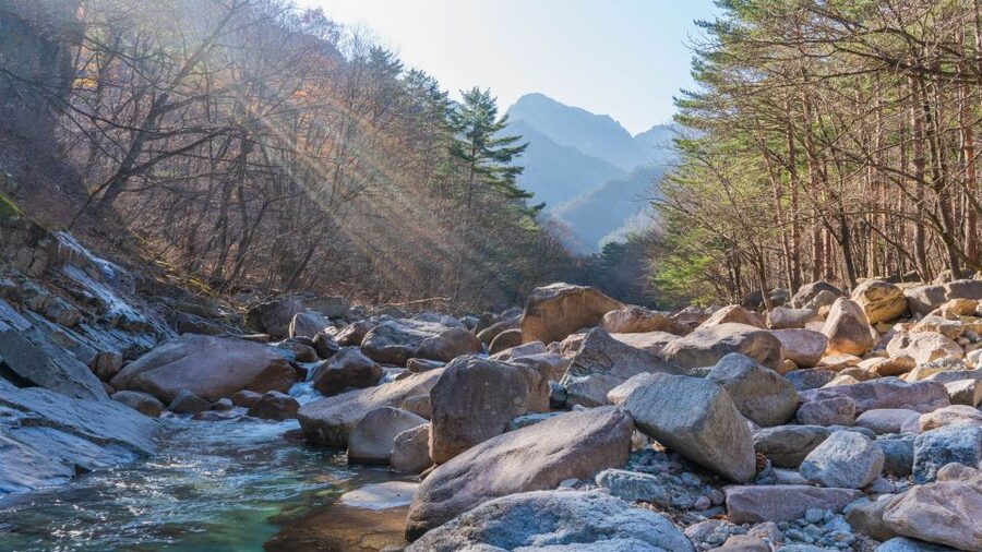 Seoul: Mt Seorak + Naksansa Temple or Nami Island Group Tour - What the 13 to 14 hours really feel like