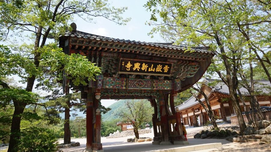 Seoul: Mt Seorak + Naksansa Temple or Nami Island Group Tour - Who should book this day trip