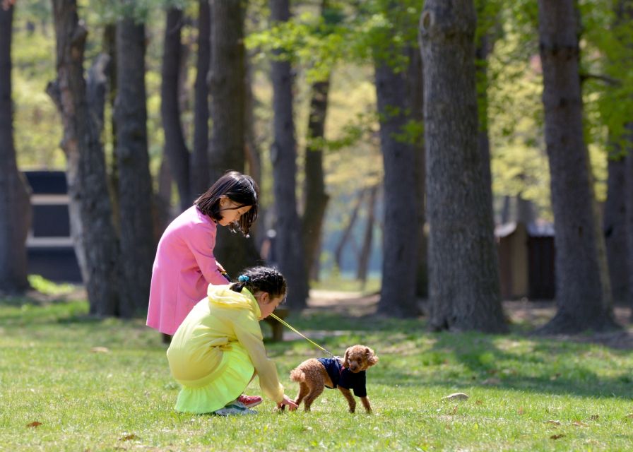 Seoul: Mt Seorak + Naksansa Temple or Nami Island Group Tour - Should you book the Seorak tour?