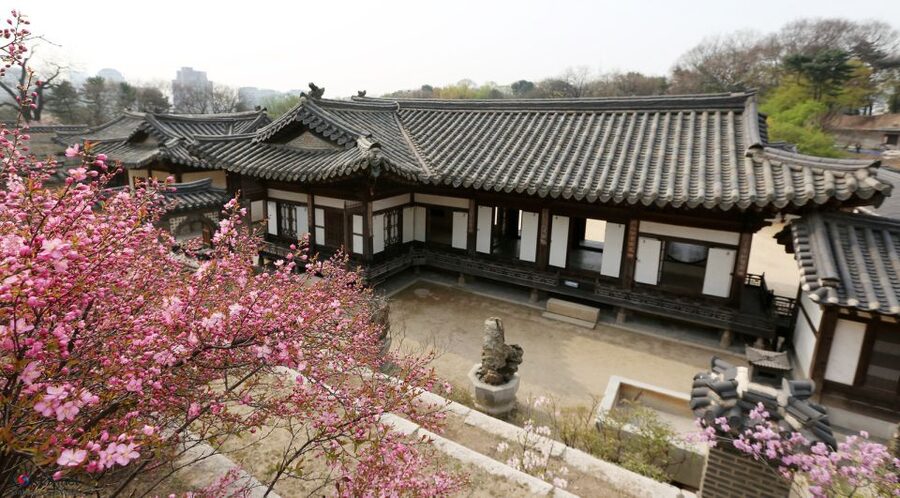 Seoul: UNESCO Sites tour: Palace, Shrine & Bukchon Village - Who should book this experience