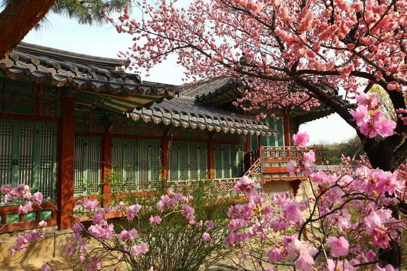 Seoul: Vegan Temple Food Class, Jogyesa & Changdeokgung Tour - Should You Book It?