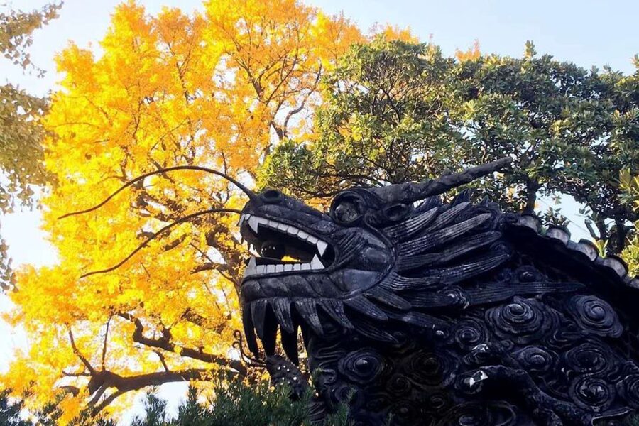 Shanghai: Yu Garden and City God Temple Walking Tour - Is $60 good value for three hours?