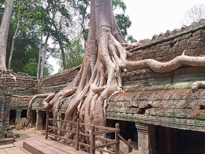 Sharing Trip to Angkor Temple with sunset - What this Angkor day really offers