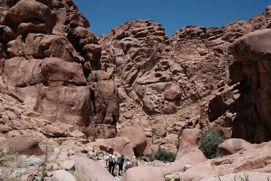Sharm El Sheikh: Mount Sinai & St. Catherine's Monastery - Who should take this trip
