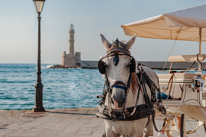 Shore Explore Chania: City Charm, Beach, Monastery & Winetasting - Timing, pickup, and cruise-port use