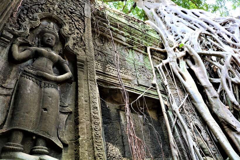 Siem Reap: 2-Day Temple Highlights Sunrise and Sunset Option - Ta Prohm and Ta Nei, two very different jungle ruins