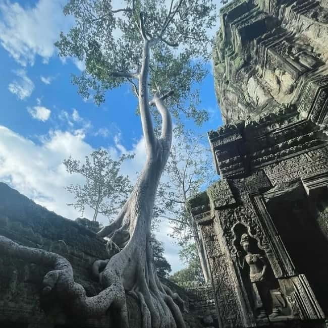 Siem Reap: Angkor 1-Day Private Tour with Sunset or Sunrise - Ta Prohm and the famous tree roots