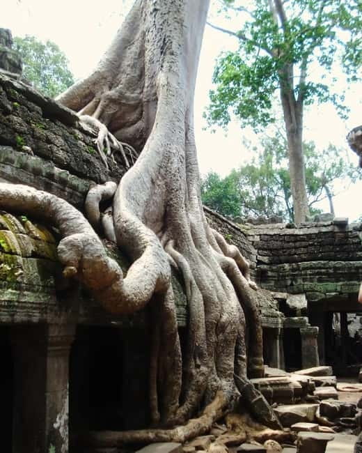 Siem Reap: Angkor 1-Day Private Tour with Sunset or Sunrise - Sunset at Phnom Bakheng