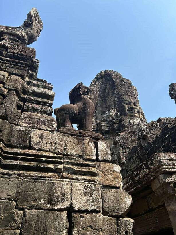 Siem Reap: Angkor Full-Day Group Tour with Japanese Guide - Ta Prohm and the power of the trees