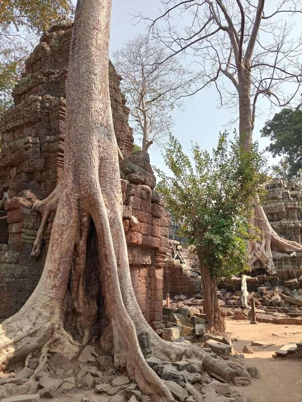 Siem Reap: Angkor Full-Day Group Tour with Japanese Guide - Starting at Angkor Thom and the South Gate