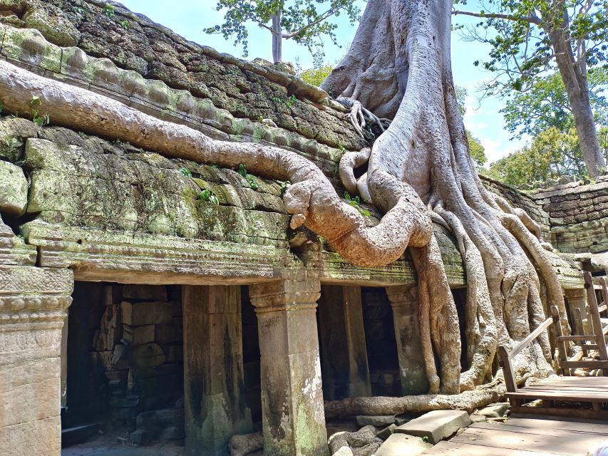 Siem Reap: Angkor Sunrise 1- or 2-Day Guided Temples Tour - The real cost: $19 plus the temple pass
