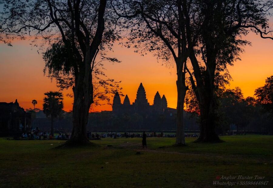 Siem Reap: Angkor Wat: Small-Group Sunrise Tour - Ta Prohm delivers the jungle atmosphere