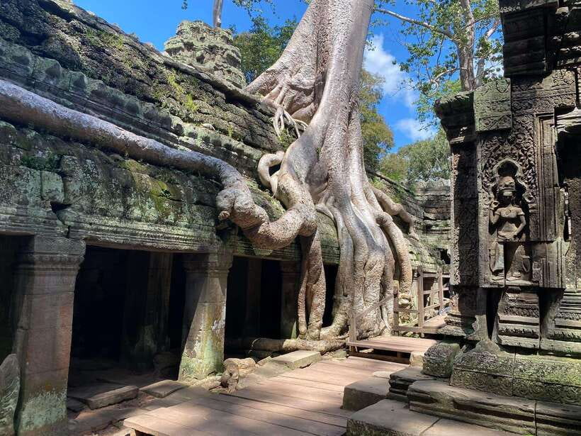 Siem Reap: Angkor Wat Sunrise and Full-Day Sightseeing Tour - Ta Prohm and the Tomb Raider connection