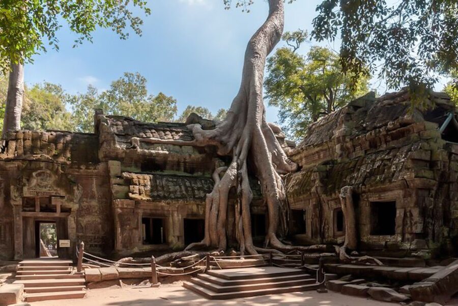 Siem Reap: Angkor Wat Sunrise and Full-Day Sightseeing Tour - What the $14 price really covers