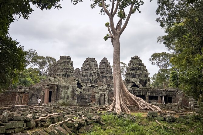 Siem Reap: Angkor Wat Sunrise Bike Tour & Jungle Breakfast - A 4:30 am start for Angkor Wat