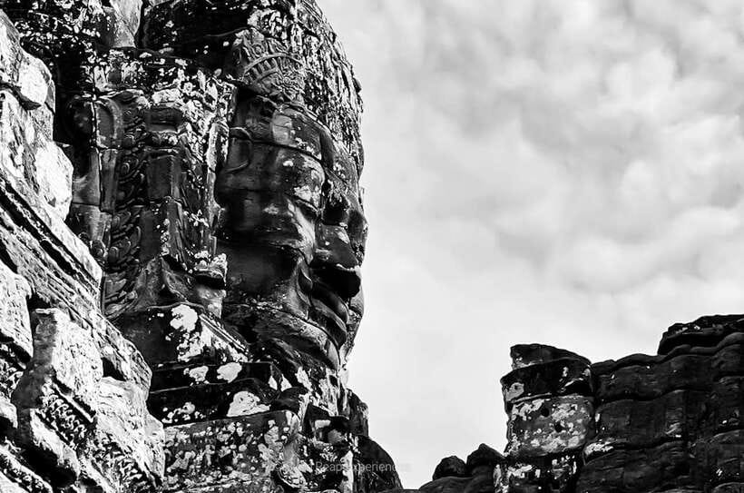 Siem Reap: Angkor Wat Sunrise or Sunset Guided Tour - Ta Prohm brings the jungle into the story