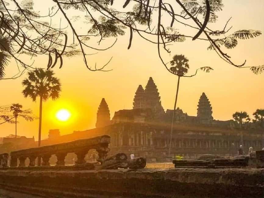 Siem Reap: Angkor Wat Sunrise Tour with Spanish Guide - Ta Prohm, where nature and ruins share the frame