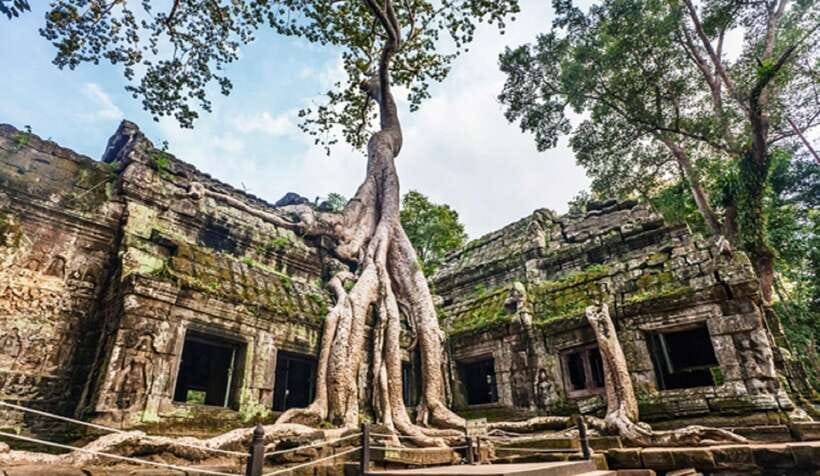 Siem Reap: Angkor Wat Tour Explore The Most Iconic Temples - What the $24 price really covers