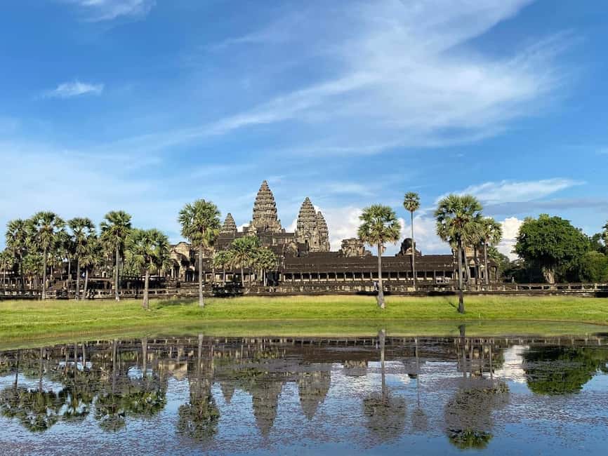 Siem Reap: Angkor Wat Tour with French-Speaking Guide - Ta Prohm and the power of the trees