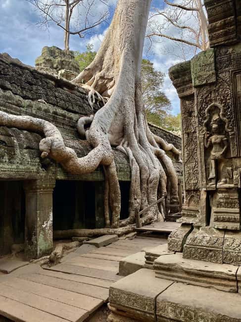 Siem Reap: Angkor Wat Tour with French-Speaking Guide - Lunch near the temples