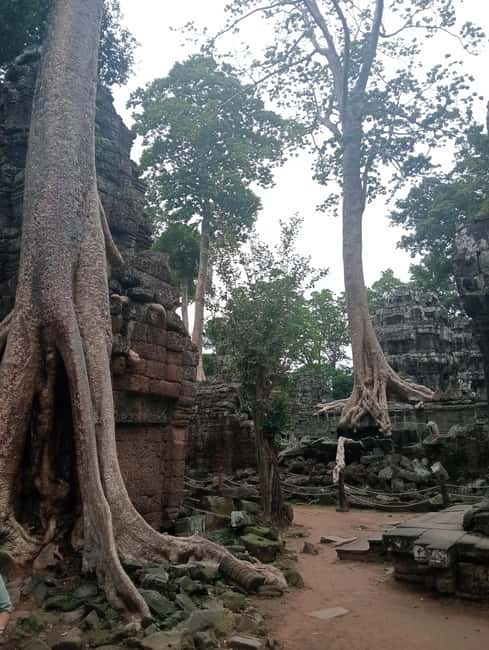 Siem Reap: Angkor Wat Tour with Italian-Speaking Guide - Clothing, walking, and the practical limits
