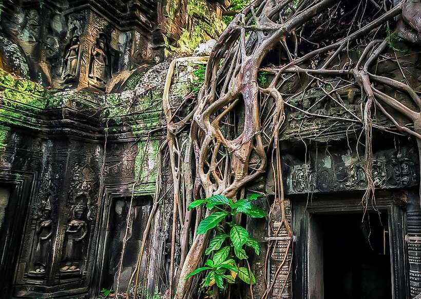 Siem Reap: Full-Day Angkor Wat Guided Tour with Sunset - Heat, clothing, and the real pace of the day