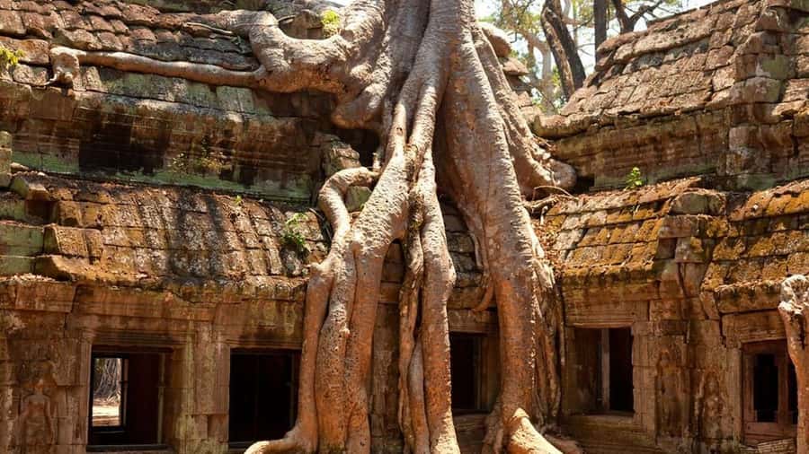 Siem Reap: Private 4-Day Angkor Wat and Phnom Kulen Tour - Day two: Angkor Thom, smaller temples, and Ta Prohm
